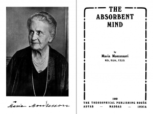 the-absorbent-mind